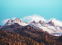 Leyu-LGD-阿福：（周决的目标）肯定是冠军